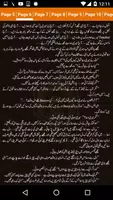 Darbar e Dil imagem de tela 7