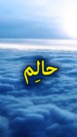 Halim Novel gönderen