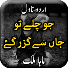 Jo Chalay to Jaan se Guzar Gay icon