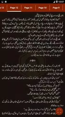 Musaf by Nimrah Ahmed - Urdu N XAPK Herunterladen