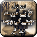Tu Hai Mere Jeny Ki Waja Novel APK