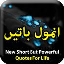 Urdu Quotations - Anmol Batien APK