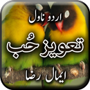 Taweez e Hub by Aimal Raza - U APK