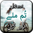 Tum Mile by Momina Jamil - Urd APK
