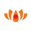 VPandit: Numerology & panchang APK