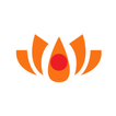 VPandit: Numerology & panchang icon
