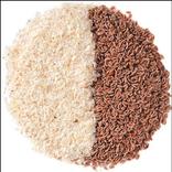 ઈસબગુલ ખેતી ૫ઘ્ધતી