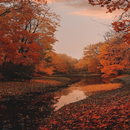 autumn wallpaper-APK