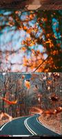 autumn wallpaper screenshot 1