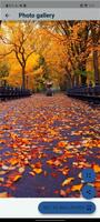autumn wallpaper screenshot 2