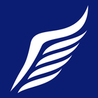 Pegasus Insurance icône