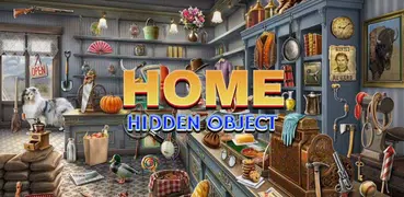 Big Home Hidden Objects