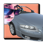 Park Lecturatu's Car icône
