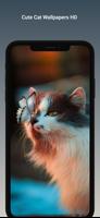 Cute Cat Wallpapers HD الملصق