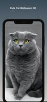 Cute Cat Wallpapers HD تصوير الشاشة 1