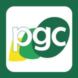 ”Cuentas Plan General Contable