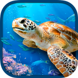 Virtual Reality OCEANS!