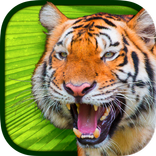 Virtual Reality Animals!