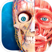 Virtual Reality Human Body! icono