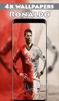 4k Football Wallpapers Offline 截圖 1