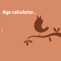 Age calculator 🔎