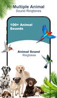 Animal Sounds: Funny Ringtones Affiche