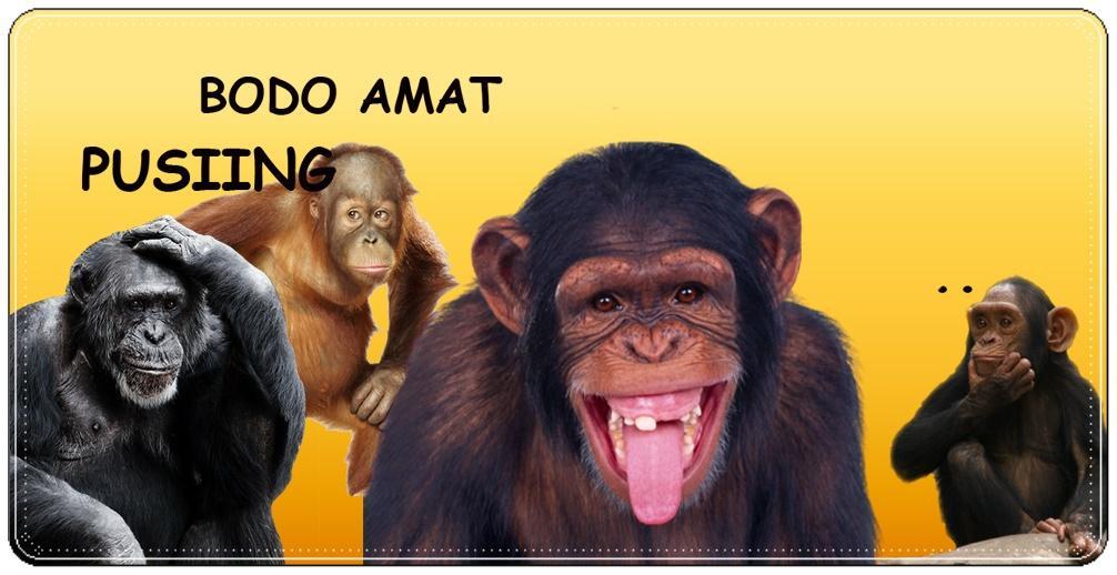 Wow 27+ Download Gambar Nyimak Lucu