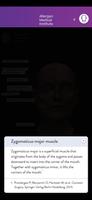 AMI Facial Anatomy and Cadaver screenshot 1