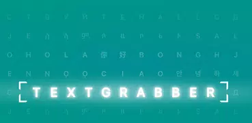 TextGrabber - INTERRUMPIDO