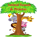 Zoo Animal Sounds And Pictures APK