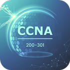 CCNA icône