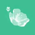 PlantDetect