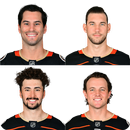 Anaheim Ducks quiz APK