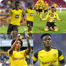 Borussia Dortmund quiz: Guess the Player APK