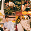 Seventeen quiz: Guess the Member and Song