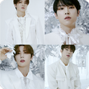 SF9 quiz: Guess the Member and Song APK