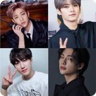 Stray Kids quiz: Guess the Member and Song Zeichen