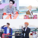 The Rose quiz: Guess the Member and Song APK