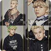 T1419 quiz: Guess the Member and Song