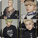 T1419 quiz: Guess the Member and Song APK