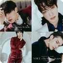 VICTON quiz: Guess the Member and Song APK