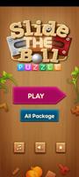 Slide the Ball - Roll Puzzle پوسٹر