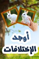 أوجد الإختلافات Affiche