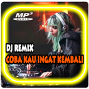 DJ Coba Kau Ingat Ingat Kembali Offline APK