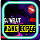 APK DJ WELUT KANG COPET VIRAL