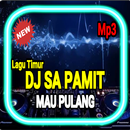 DJ Sa Pamit Mau Pulang TikTok Offline APK