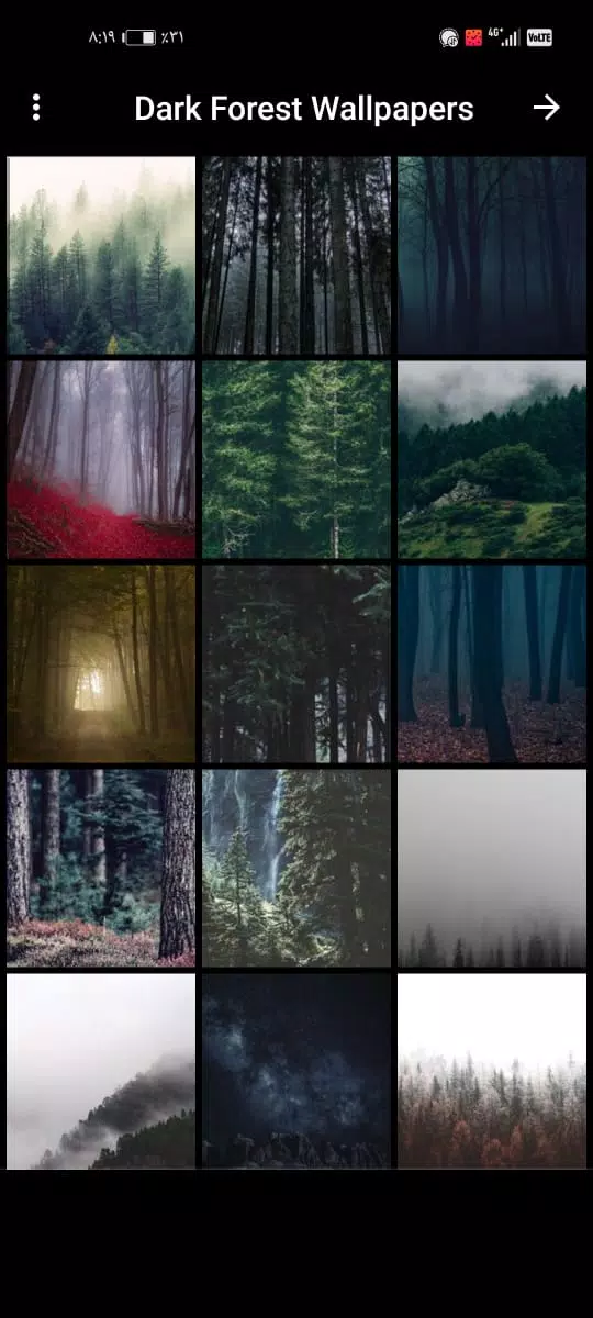 Dark Forest Wallpapers APK for Android Download Dark Forest Wallpapers APK for Android Download
