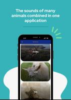 Animal Sounds ảnh chụp màn hình 1