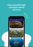 Animal Sounds ảnh chụp màn hình 3