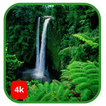 خلفيات طبيعة وصور بدون نت HD